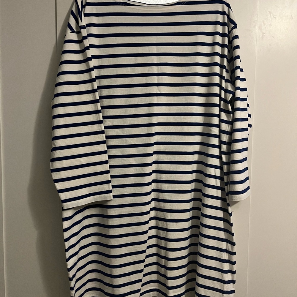 Everlane Mariner Dress